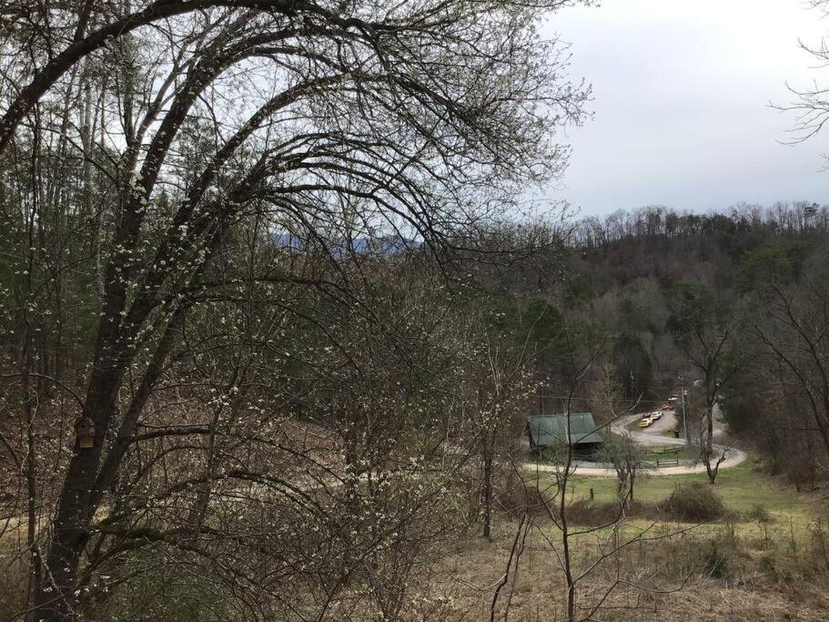 Dollywood-Brand New Dancing Bear 4 Villa Pigeon Forge Exterior photo